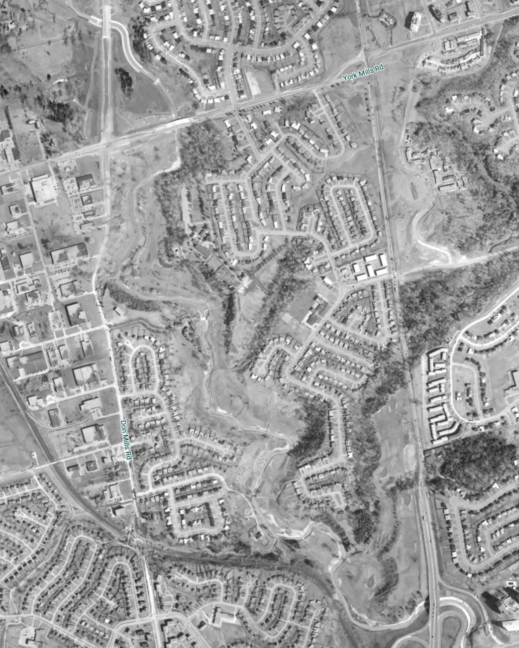 Donalda Club, 1965