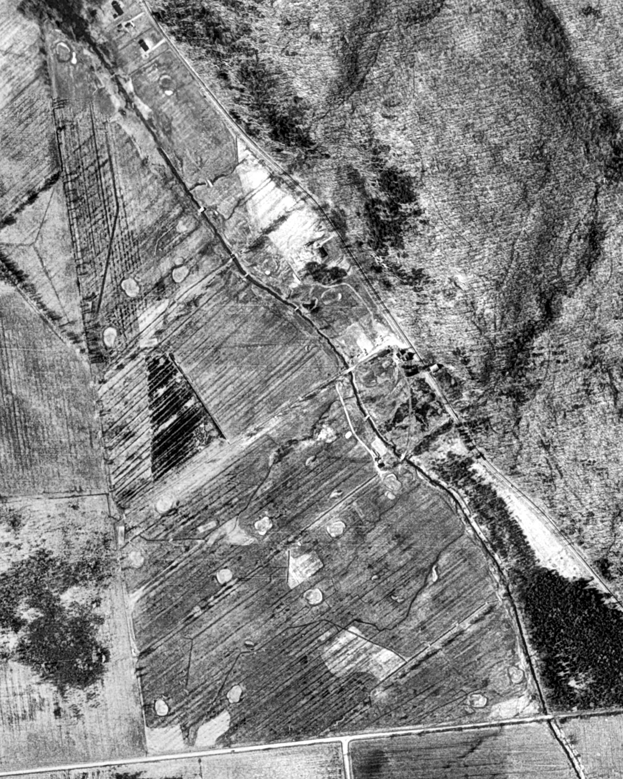 Kingsway Park Golf and Country Club, 1973