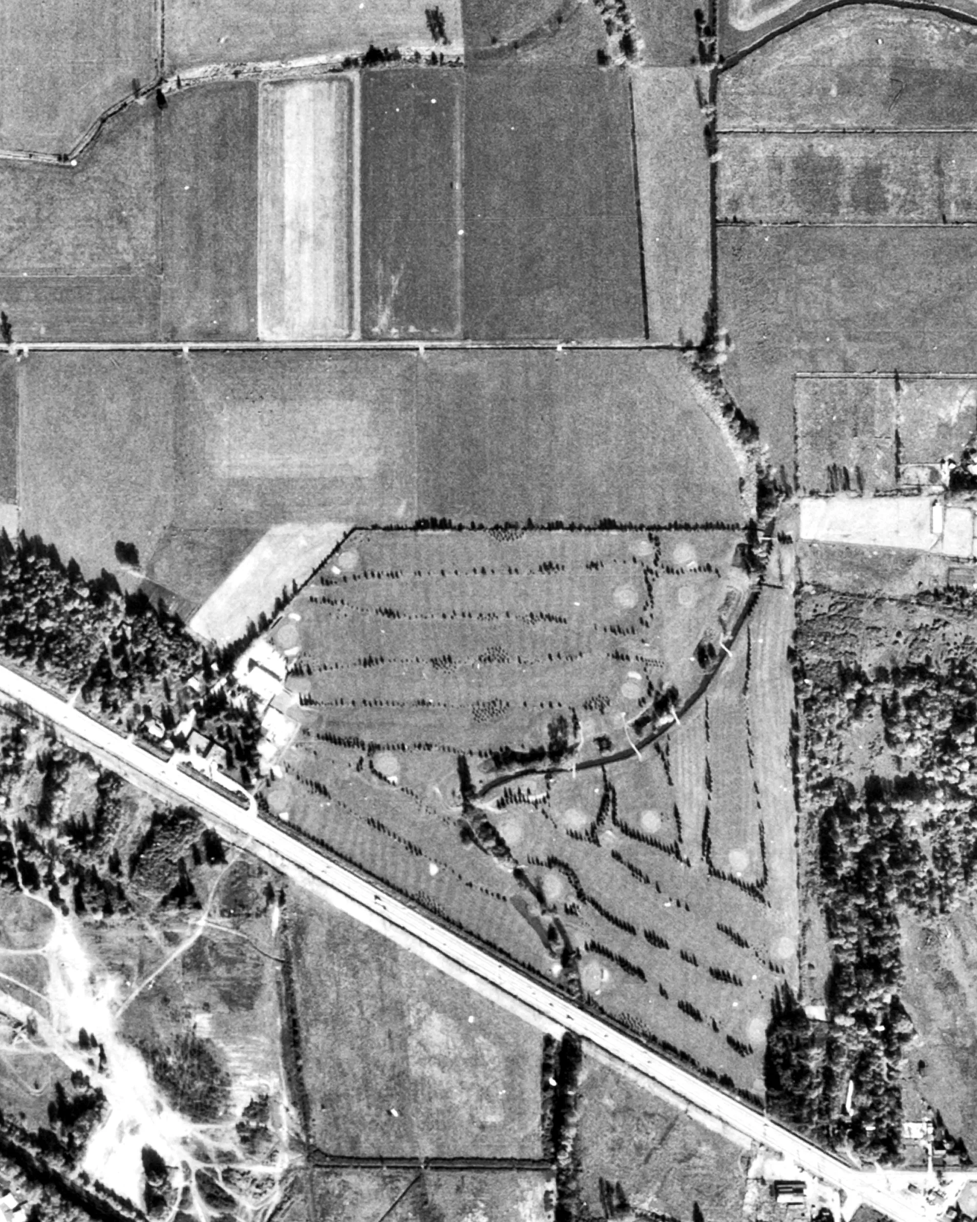 Meadow Gardens Golf Club, 1978