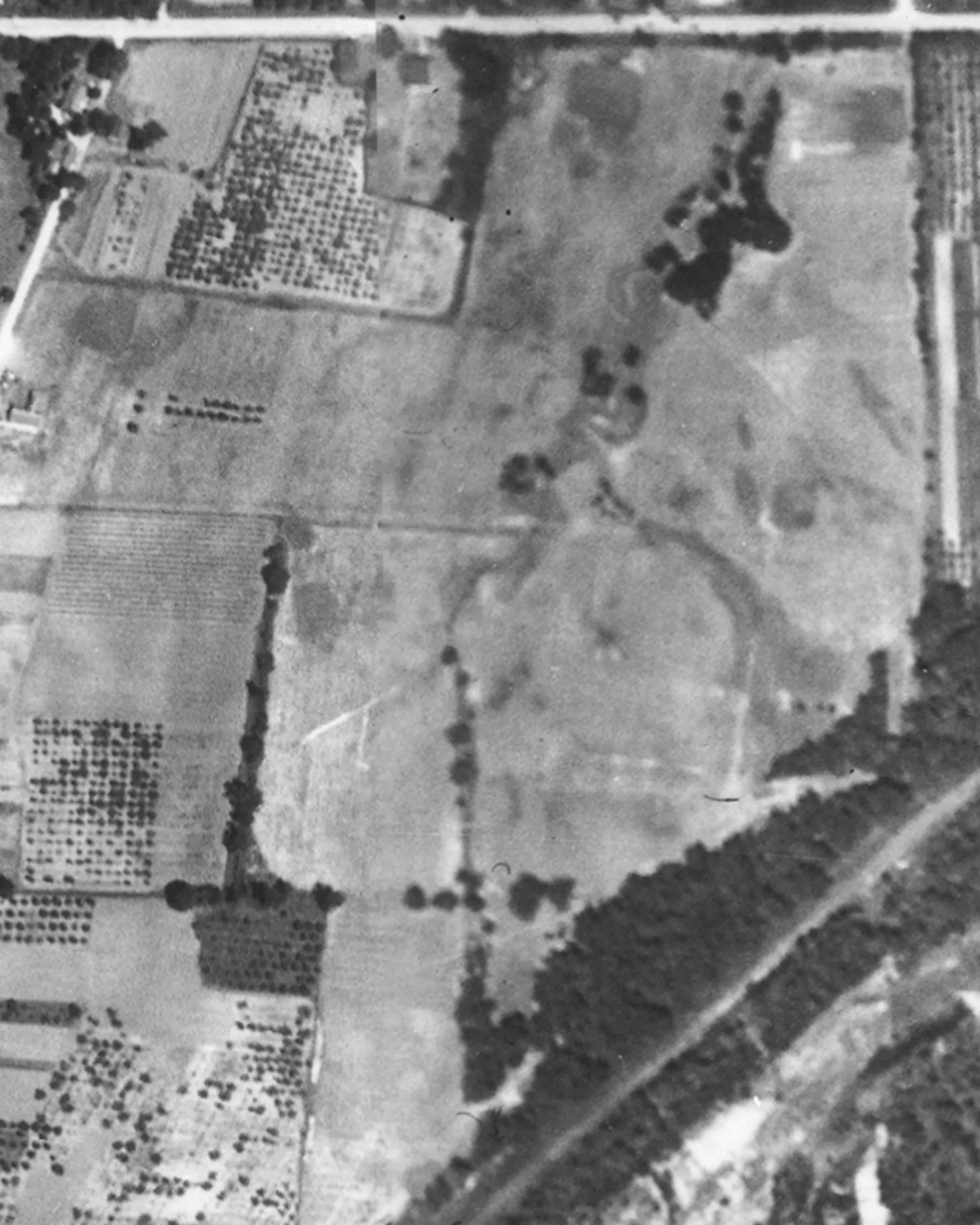 St. Davids Golf Club, 1934